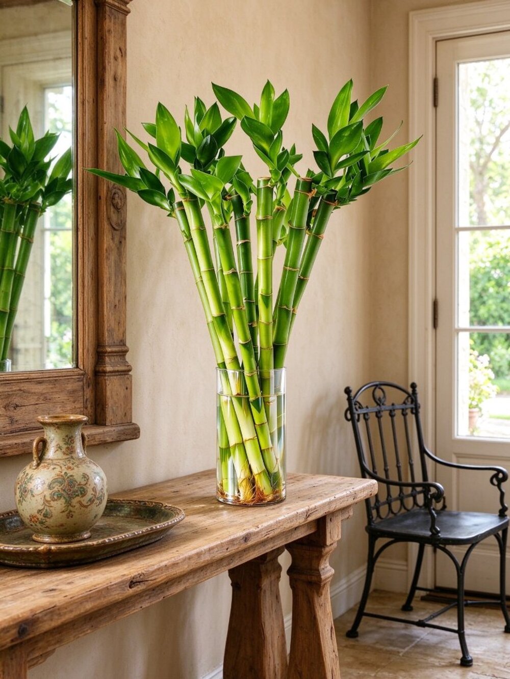 Lucky Bamboo 10 Stalks 18″ Live Indoor Plant Set – Perfect for Low-Light Spaces